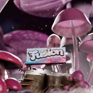 fusion bars cotton candy